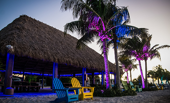 photo-gal-img6 photo-gal-img6